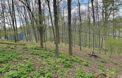 Windsor Road, Bridgeport, WV 26330