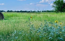 TBD 11ac CR 4805, Bailey, TX 75413