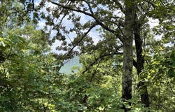 Meadow Creek Road, Clinton, AR 72031