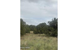 7 County Road 5082, Concho, AZ 85924