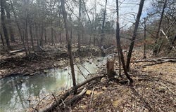 Pea Ridge Road, Havana, AR 72842