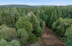 Wood Yard Crossing lot: 2, Pittsburg, NH 03592
