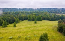 Wildcat Hollow, Greenbrier, AR 72058