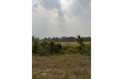 Moore Road Tract 14, Naylor, GA 31641