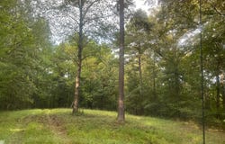 NETHERY ROAD, Dora, AL 35062