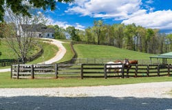 5080 COUNTY ROAD 263, LANETT, AL 36863