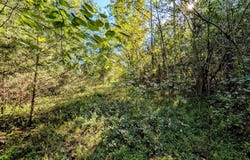 378 Ladd Springs Road SE, Cleveland, TN 37323