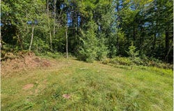 NE BERRY Rd, BattleGround, WA 98604