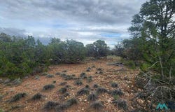 115 Cimarron Drive, Quemado, NM 87829