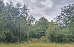 4114 Janet Circle, Chipley, FL 32428