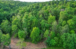 White Hollow Road, Patriot, OH 45658