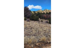 47 White Cloud Dr, Cotopaxi, CO 81223