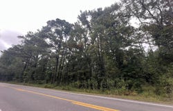 Us-264, Belhaven, NC 27810