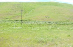 Douglas Rd. (Lot 41), San Miguel, CA 93451