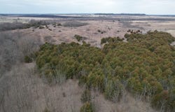 890 NW 100th Rd, Liberal, MO 64762