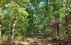30915 Broken Circle Road, Stover, MO 65078