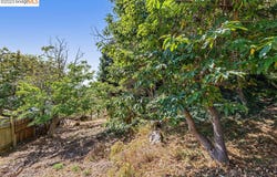 614 Cragmont Ave, Berkeley, CA 94708