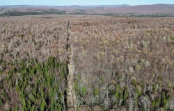 E Pinnacle Road W, Bellmont, NY 12920