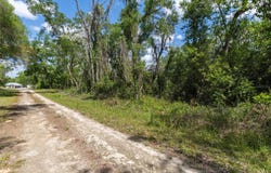 KENYON Drive, WEBSTER, FL 33597
