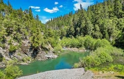 9490 St John Rd, Hyampom, CA 96046
