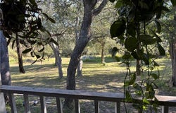 2168 River Oaks, Skidmore, TX 78389