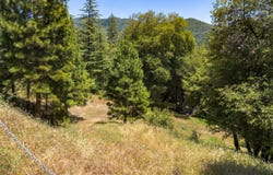 2397 Parmabelle, Mariposa, CA 95338
