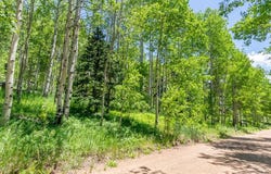 Westcliffe Dr, Rye, CO 81069