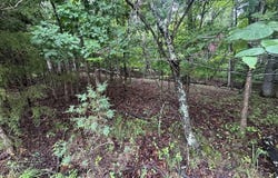 Red Wing Road, Brandenburg, KY 40108