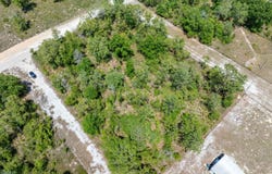 TBD CR 49, OBrien, FL 32071