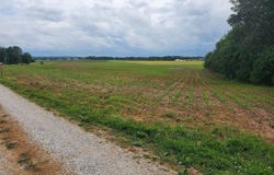 Witt Road, Franklin, KY 42134