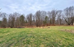 142 Sorbertown Hill Road, Hunlock Creek, PA 18621