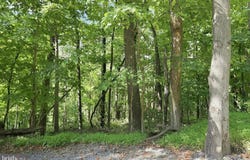WINDY Way, FRONT ROYAL, VA 22630