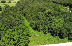 Highway 17, Summersville, MO 65571