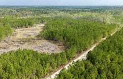 Vacant SW Captain Brown Rd, Madison, FL 32340