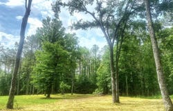 700 Rathell Road, Lexington, MS 39095
