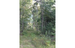 Mill Creek Rd lot: #10, Sunbright, TN 37872