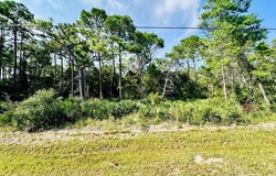 259 Twin Lakes Rd lot: 15, Eastpoint, FL 32328