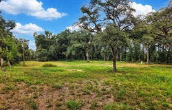 590 NW 20th Ave, Bell, FL 32619