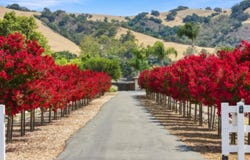 15640 Foothill AVE, MORGAN HILL, CA 95037