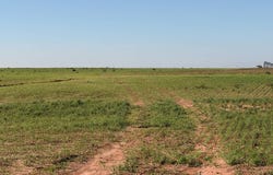 249 Rosevelt Rd, Texico, NM 88135