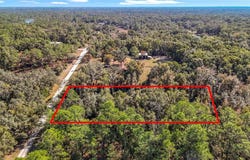 7241 Sonia Avenue, Webster, FL 33597