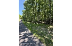 Paper Birch N, Tafton, PA 18464