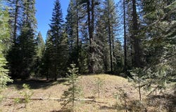 3-E-7 Mt Shasta Dr, McCloud, CA 96057