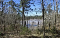 205 Rolland Place, McCormick, SC 29835