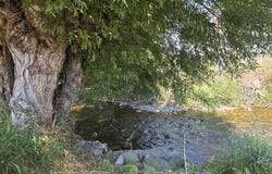 64836 HURRICANE CREEK Rd, Enterprise, OR 97828