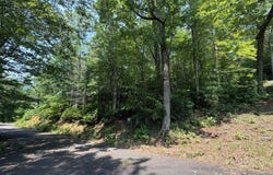 Whisper Ridge Court, Hiawassee, GA 30546