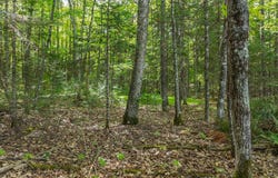 Off ANTON TRL, Phelps, WI 54554