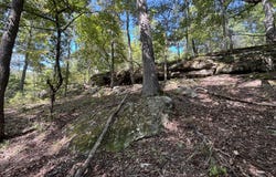 E County Road E76-114, Ava, MO 65608