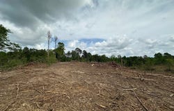 Highway 440, West, MS 39192