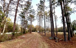 4698 Helena St, Hastings, FL 32145
